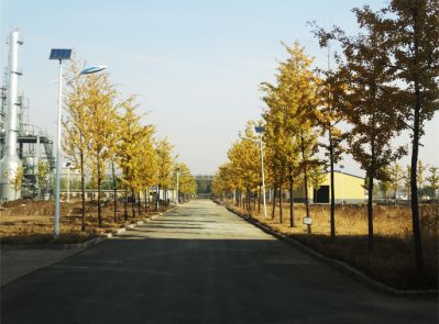 廠區風貌